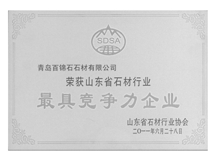 最具競爭力企業(yè)證書